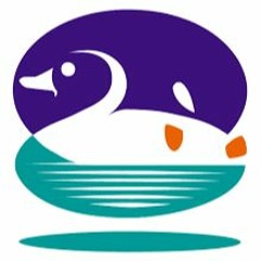 Thirteen Is Not Dead (cut)