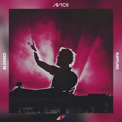 Avicii - Blessed (Unreleased Vocal Mix) vs Rapture (Avicii Bootleg)