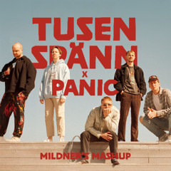 Tjuvjakt vs NOTD - Tusen Spänn x Panic