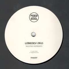 Premiere: Lebedev (RU) - Crystal Water [Feedasoul Records]