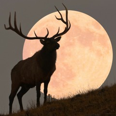 THE FIRST SUPERMOON OF THE YEAR - FULL BUCK SUPERMOON MIX - THE 3RD OF JULY 2023