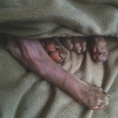 Leg - 22 remix - Kazoomy Love Guns