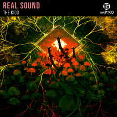 Real Sound - The Kico (Extended Mix)