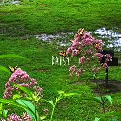 daisy (feat. sowr)