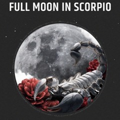 Love My Scorpion