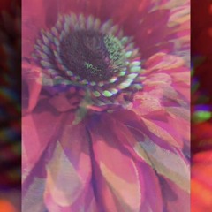 One Life - liek.music (Original Song)