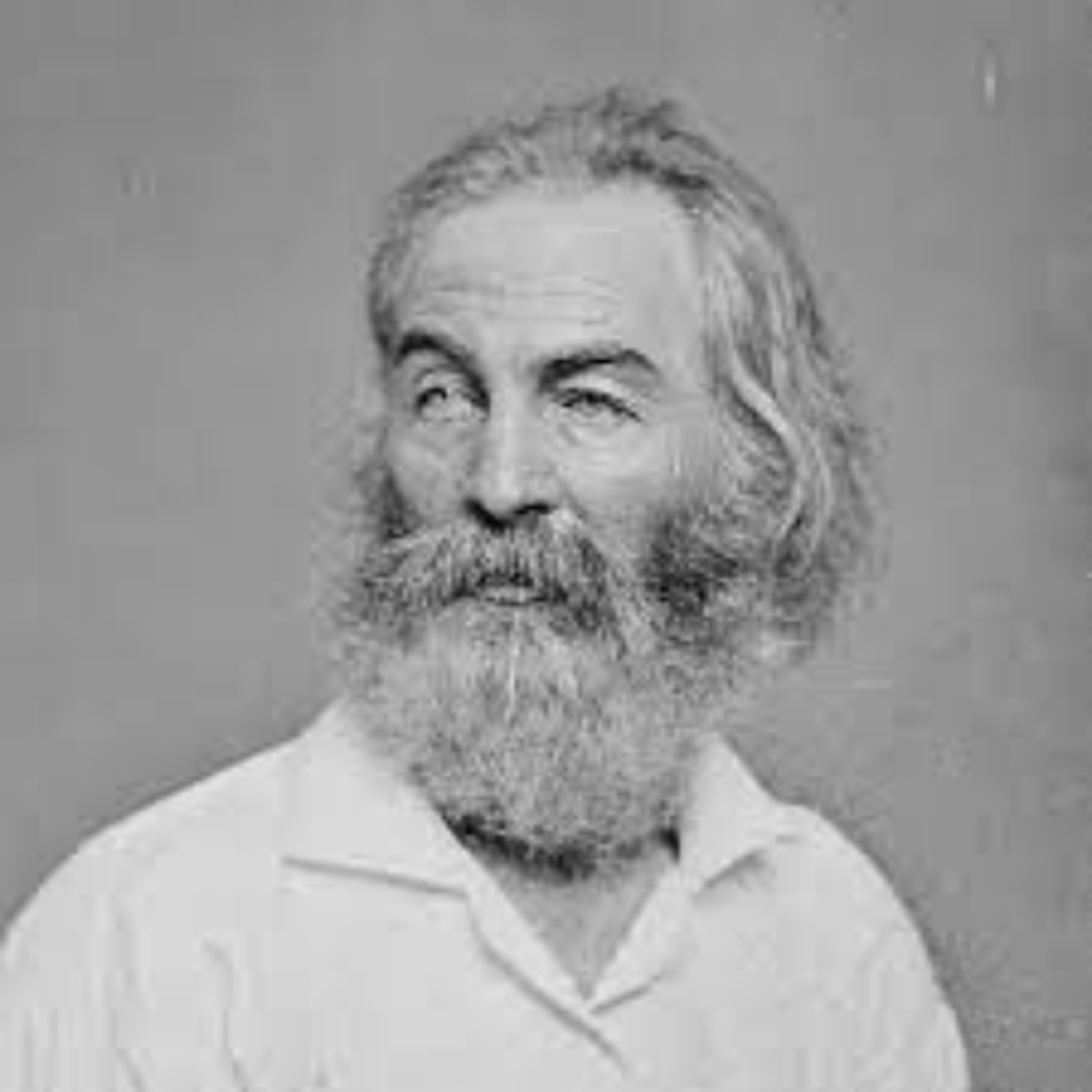 I Saw in Louisiana a Live-Oak Growing by Walt Whitman episode artwork