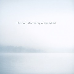 The Soft Machinery of the Mind