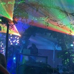 Rekinection Illuminated Jungle Set