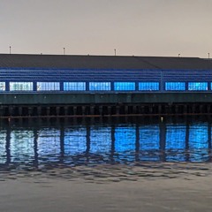 What if trains had wings like butterflies?