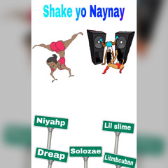 Shake yo naynay by Solozae,lil slime,litmbcuban,Niyahp,Dreap