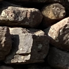 Millstone