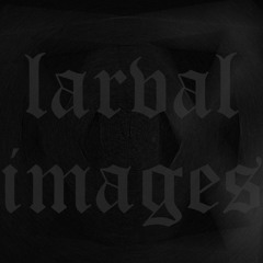 larval images