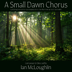 A Small Dawn Chorus