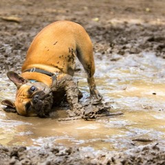 Adele - Rolling in the Deep - Remix (John Legend)