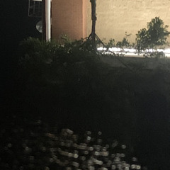 heylog - birth (slowed)