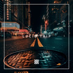 lucid trip
