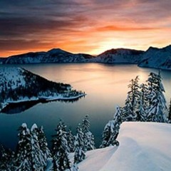 Nature with other eyes