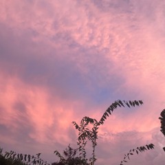 psyche & rreject . . summers over