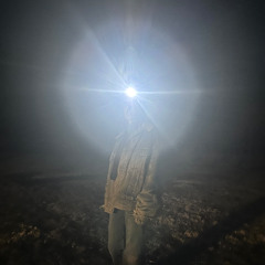 OB0568 — Ivy Knight