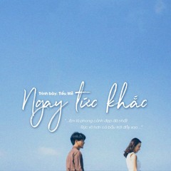 Ngay tức khắc | 瞬时 - Tiểu Mễ 小咪