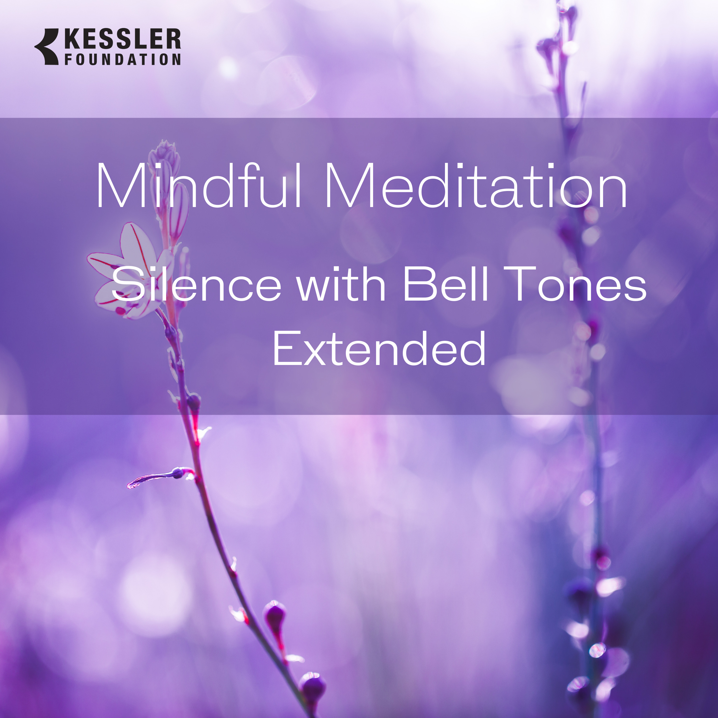 10-Minute Silence with Bell Tones Meditation