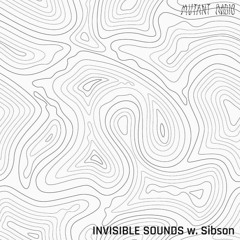 INVISIBLE SOUNDS w. Sibson [02.03.2024]