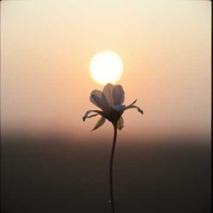 Another story of spring #5