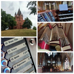 Eine Festwoche für die neue Orgel der Pauluskirche Halle
