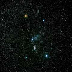 MSKO - ORION