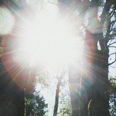 Sunlight Feels Like Bee Stings (HTRK cover) DEMO