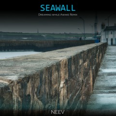 Neev - Seawall (Dreaming While Awake Remix)