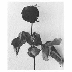 belfa, gina livia - you should know