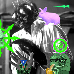 DCR - HUMAN FLY - DCOMPOSED