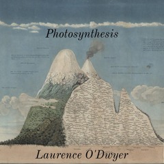 Photosynthesis