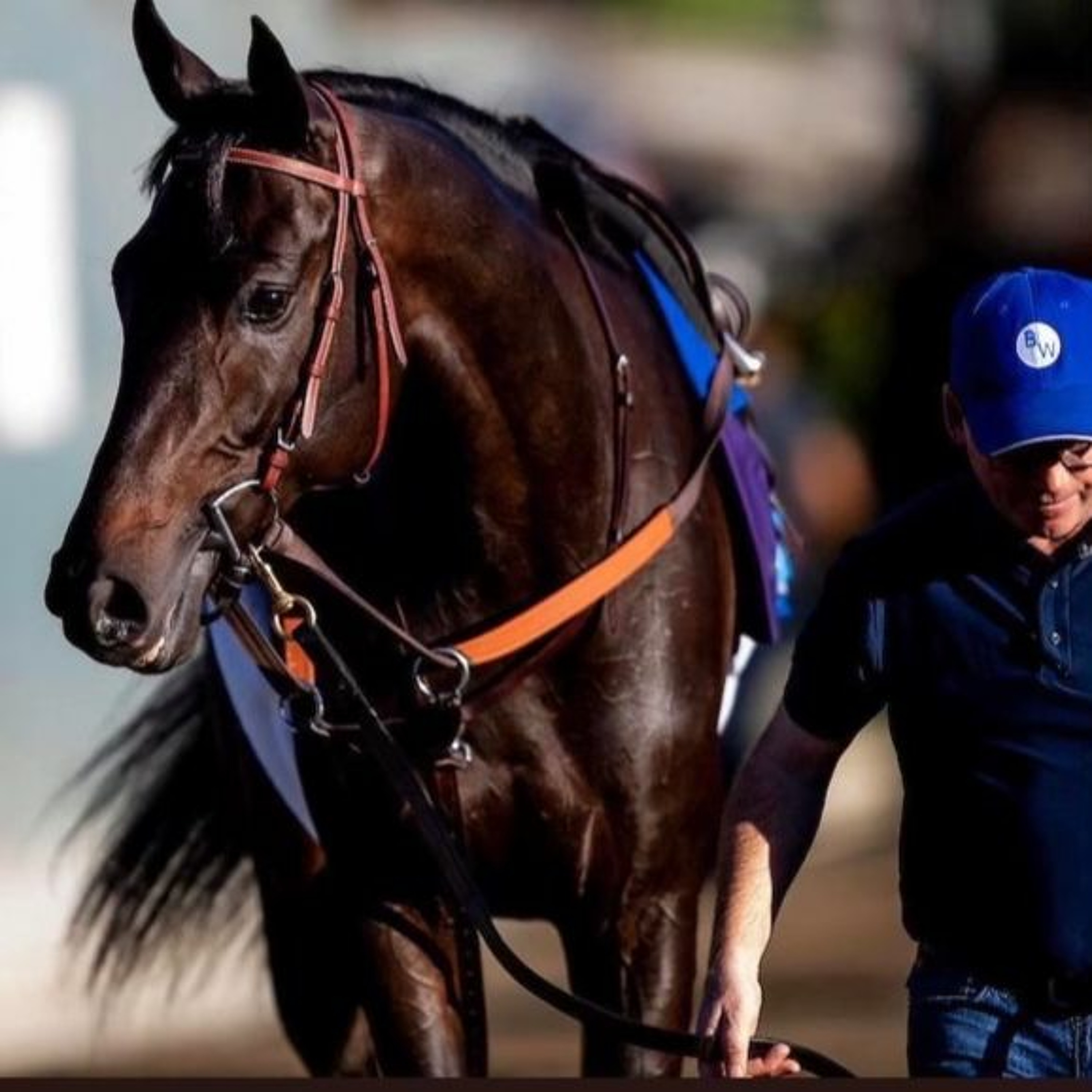 The Auxiliary Gate - Kentucky\'s Horse Racing Discussion