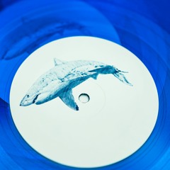 Kyle Hall - Shark - The Shark EP - FTC02 -Forget The Clock