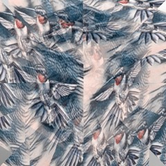 Hum & Hummingbirds (naviarhaiku449)