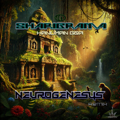 Hanuman Goa - Neurogenesys - Remix