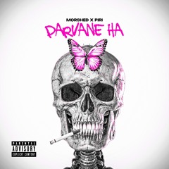 Parvane Ha