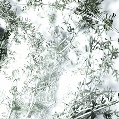 These Are The Words - Rework Remix