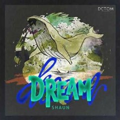SHAUN - Dream (2021 Version)