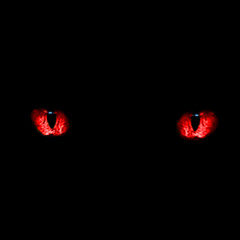Grief & Anger