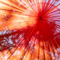 La Nature Festival 2024