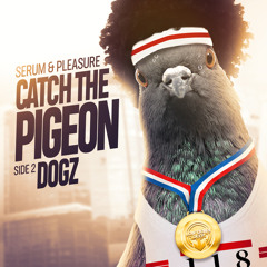Catch The Pigeon