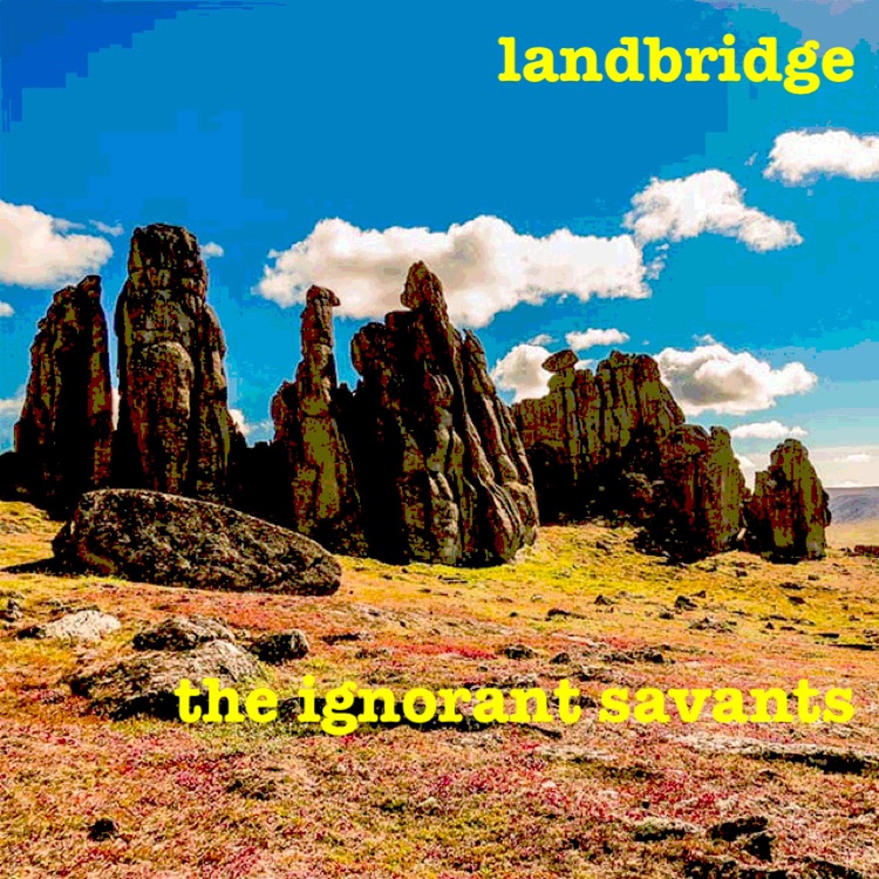 the ignorant savants