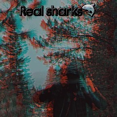Real sharks