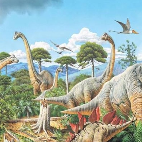 Dinosaur Bones