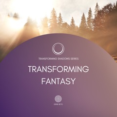 Transforming Fantasy Into Reality
