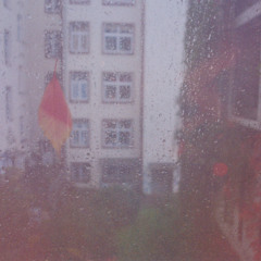 Rainy Paradise